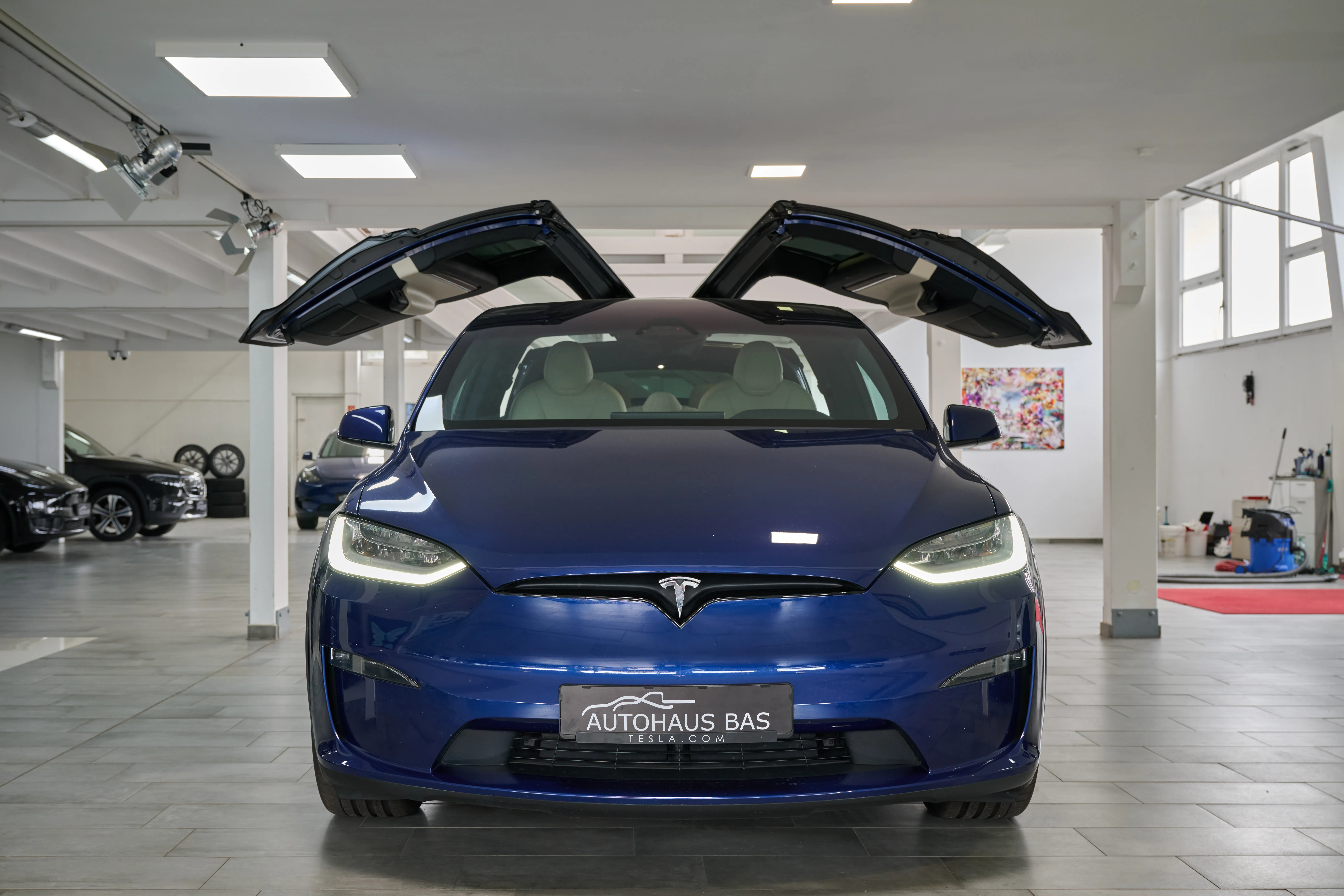 Tesla privat verkaufen oder an den Händler?